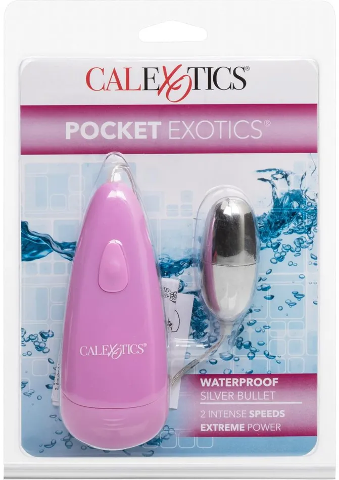 Female Sex Toys Pocket Exotics Pocket Exotics Silver Bullet